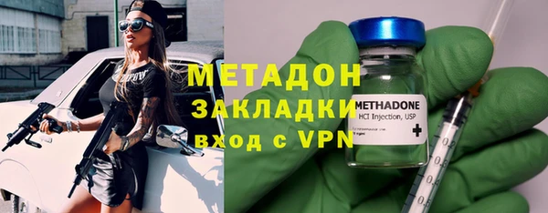 прущие грибы Абаза