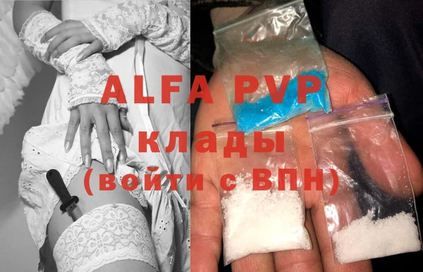 прущие грибы Абаза