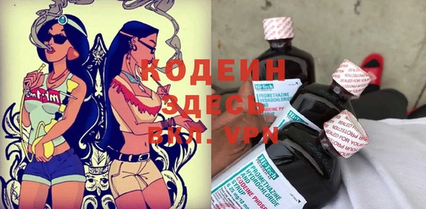 прущие грибы Абаза