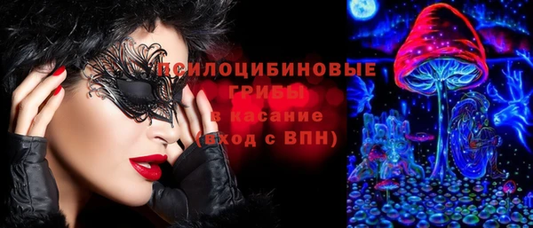 мяу мяу мука Абдулино