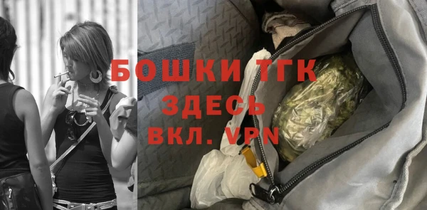 прущие грибы Абаза