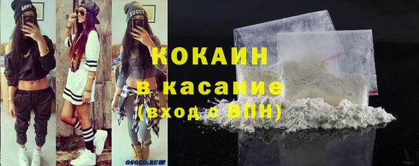 прущие грибы Абаза