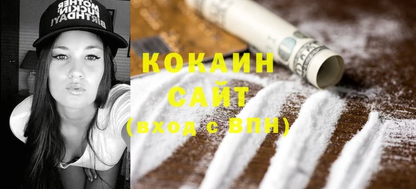 стафф Гусев