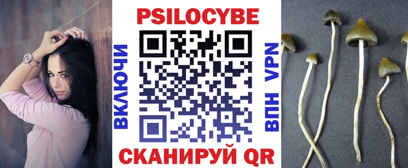 Псилоцибиновые грибы GOLDEN TEACHER  blacksprut как войти  Электросталь 